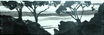etch-1.gif