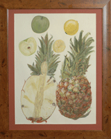 pineapple