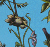 plants